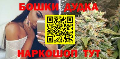 PSILOCYBIN Кунгур