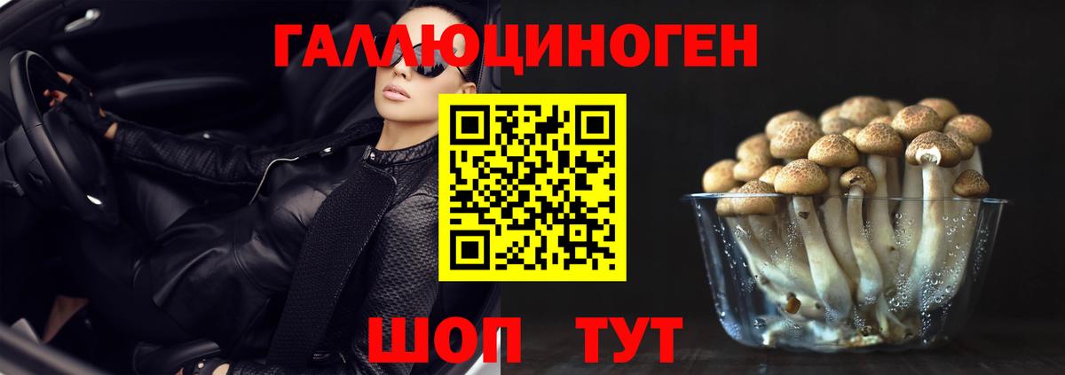 Галлюциногенные грибы мицелий  Галлюциногенные грибы мицелий  Ефремов  Вход с VPN 