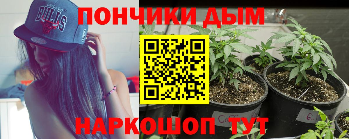 Ефремов  Конопля планчик  МАРИХУАНА SATIVA & INDICA  Вход с VPN  Бошки Шишки гибрид 